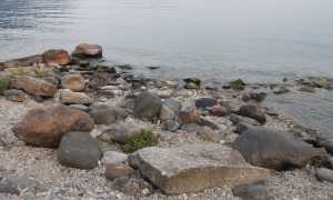 lago intra