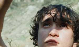 lazzaro