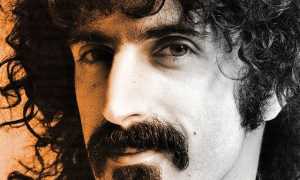 little dots frank zappa cover ts1478310280