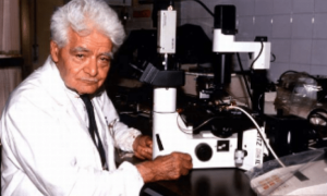 luigi di bella metodo di bella 