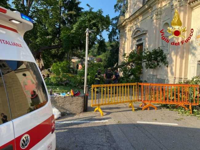 luino alb due
