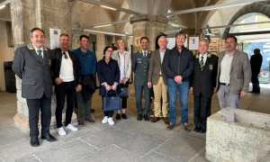 mostra gdf