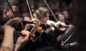musica violini mani