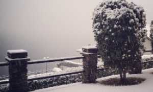 neve lago