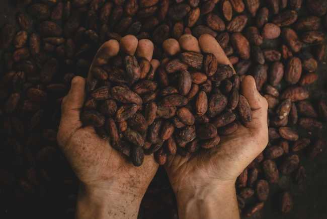 pablo merchan montes SCbq6uKCyMY unsplash