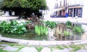 pallanza fontana delfino