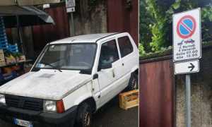 park panda mercato