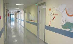 pediatria generico