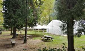 pesciola m d c set 17 tre