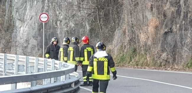 piante cannobio rami 4