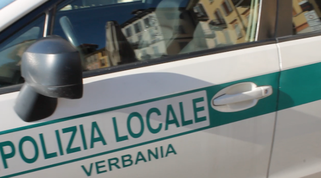 pol locale vb
