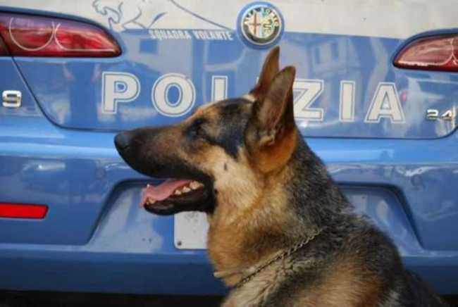 pol ca droga