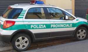 pol prov