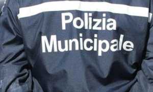 polizia municipale 700