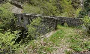 ponte velina