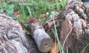 proiettile cannone