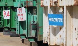 raccolta rifiuti plusc copia