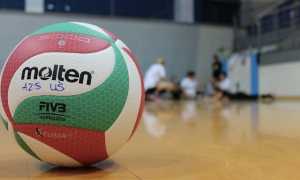 regole pallavolo dimensioni