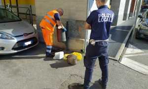 rifiuti controllo vb