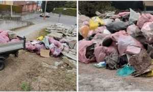 ripuliti boschi stresa