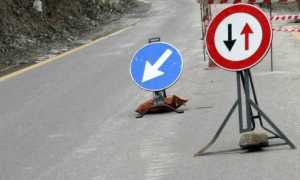 sens un alt generi