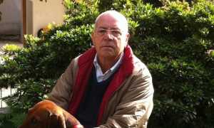 sergio bonolis