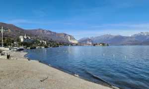 spia