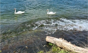 spiaggia