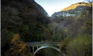 spoccia