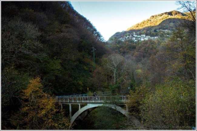 spoccia