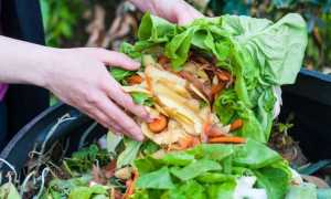 spreco alimentare