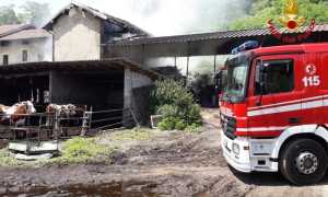 stalla Fuoco