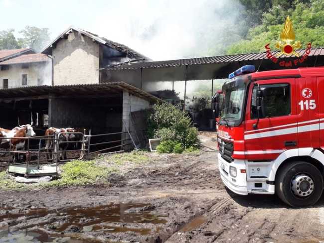 stalla Fuoco