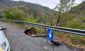 strada cicogna