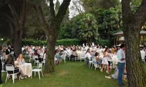 summer camp oncologia 1702