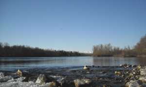 ticino fiume
