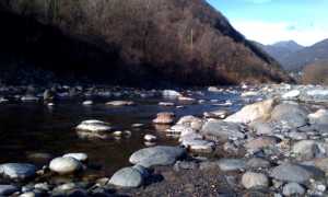 torr s bernardino