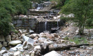 torrente selvaspessa