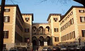 tribu novara