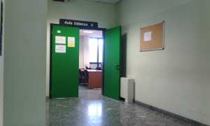 tribunale14
