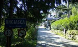 ungiasca generica
