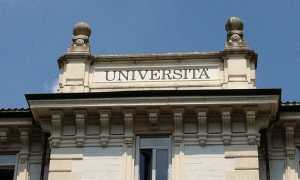 universit