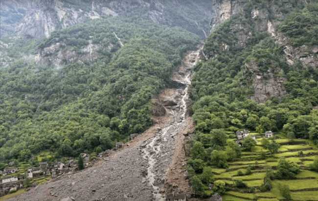 v maggia f