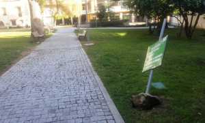 vandali intra besozzi