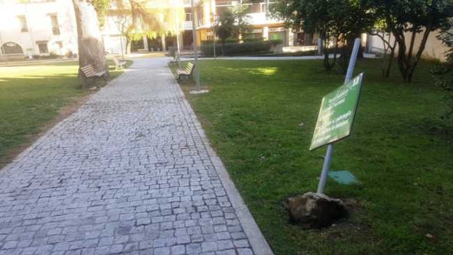 vandali intra besozzi