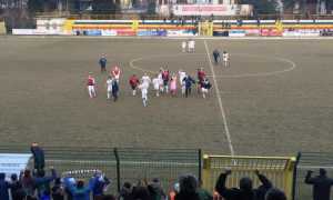 vb pro settimo