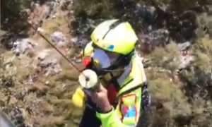 vdf elic casalzuigno