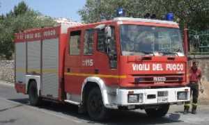 vdf generico 16