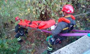 vdf socc eserc ott 17