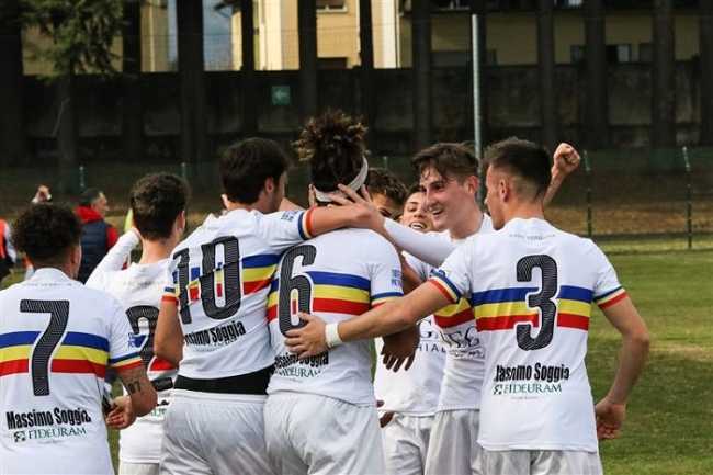 verbania quasiseried